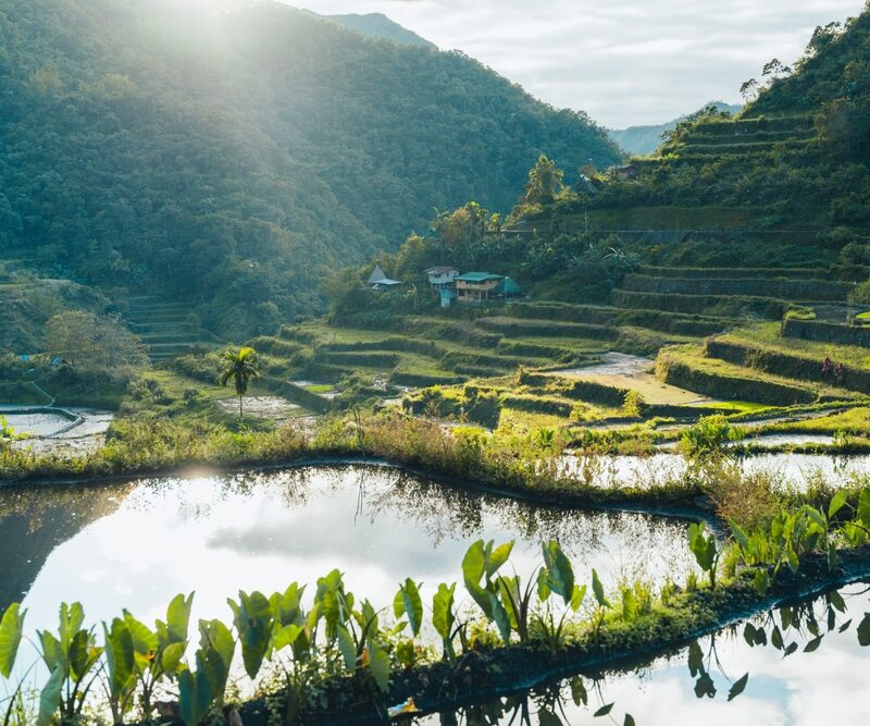 Batad-Rice-Terrace-Tour-Philippines