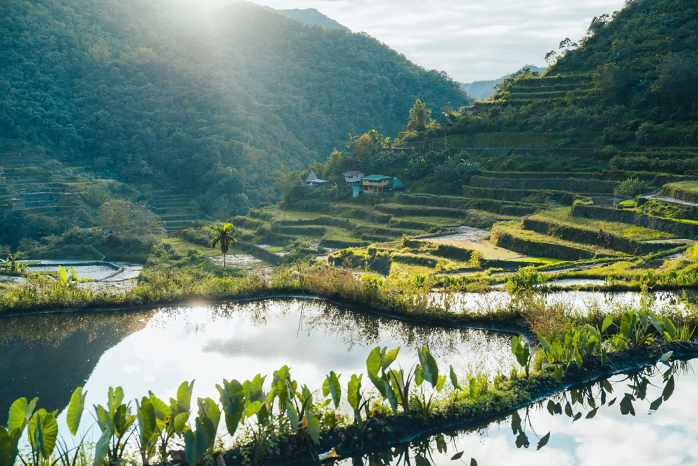 Batad-Rice-Terrace-Tour-Philippines