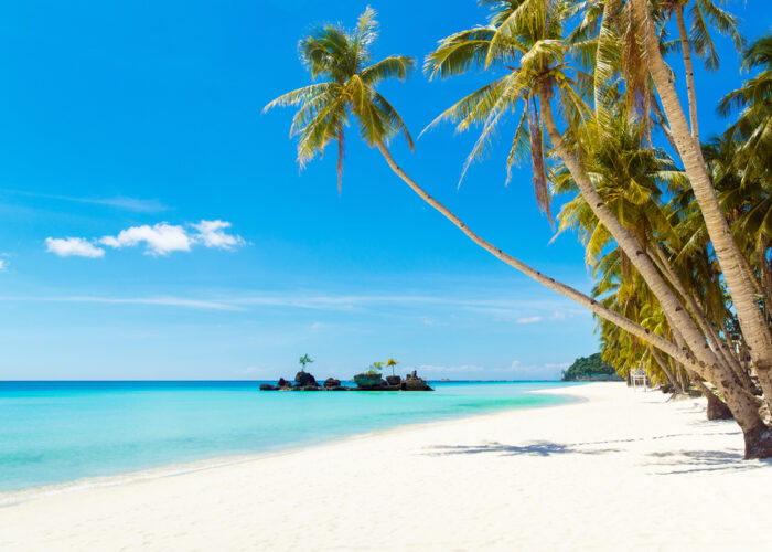 3-week-Philippines-Itinerary-Beautiful-Palm-tree-in-Boracay-Philippines