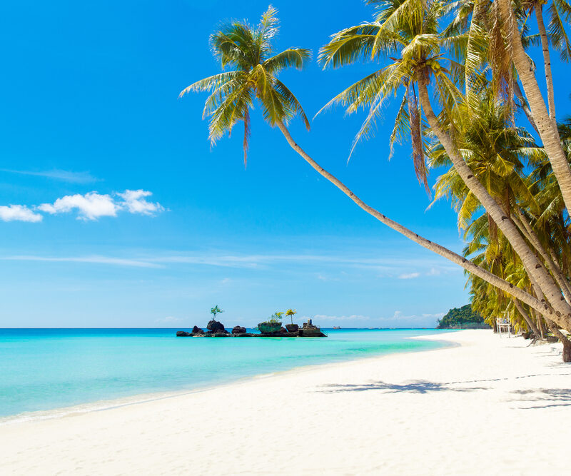 3-week-Philippines-Itinerary-Beautiful-Palm-tree-in-Boracay-Philippines